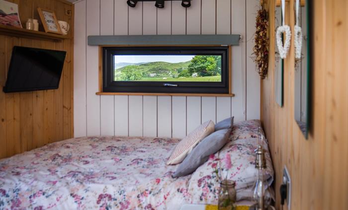 Bed and tv